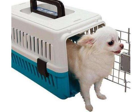 影響寵物快遞價格的因素有哪些？